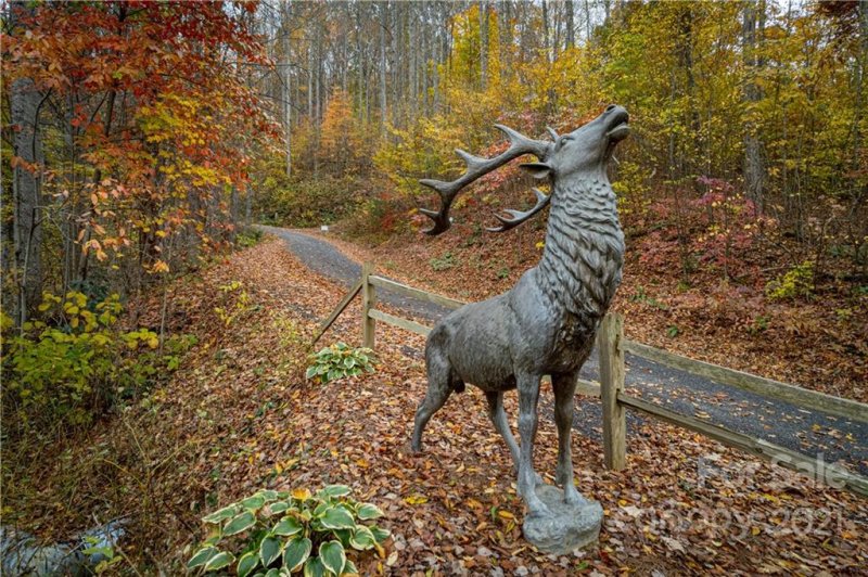 Property image 3 at 10 Grey Stone Place, Maggie Valley, NC 28751