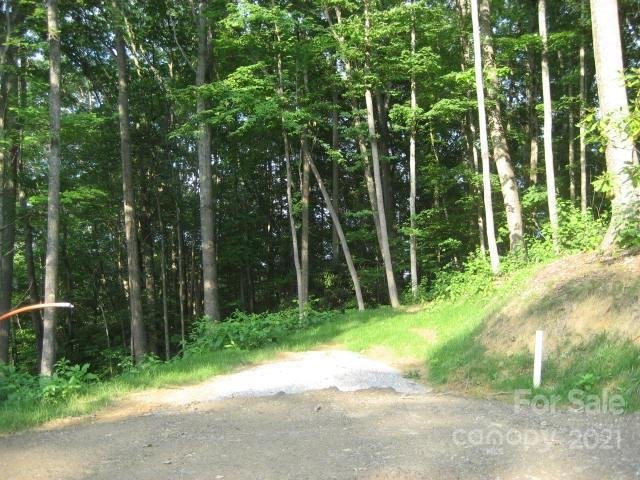 Property image 5 at 20 Sleeping Bear Ridge, Maggie Valley, NC 28751