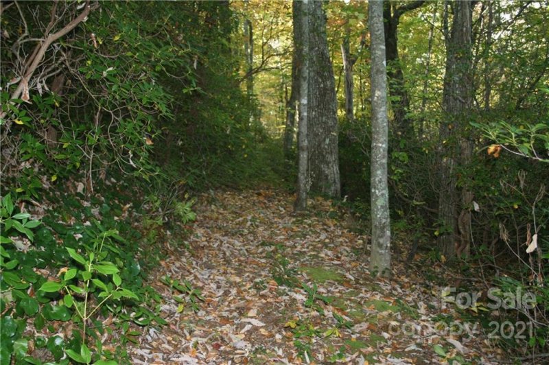 Property image 3 at 105 Rock Garden Road, Black Mountain, NC 28711