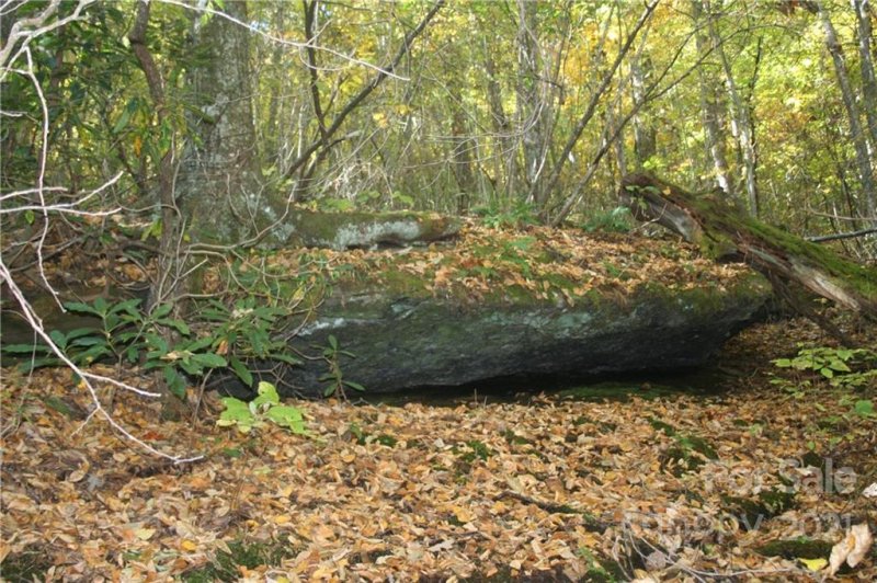 Property image 5 at 105 Rock Garden Road, Black Mountain, NC 28711