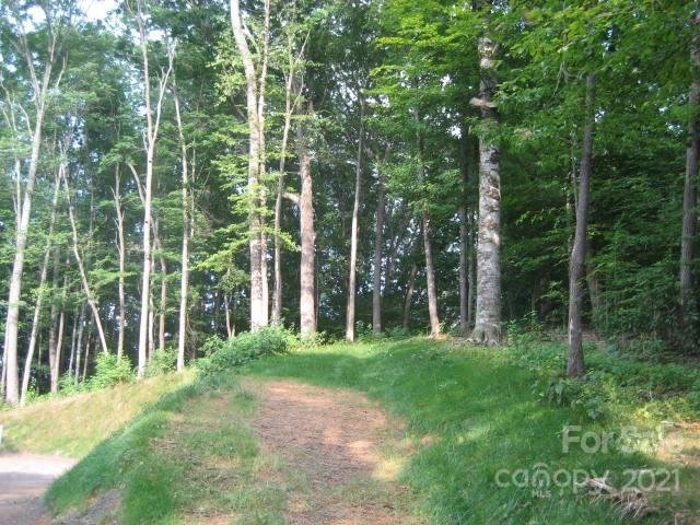 Property image 4 at 21 Sleeping Bear Ridge, Maggie Valley, NC 28751