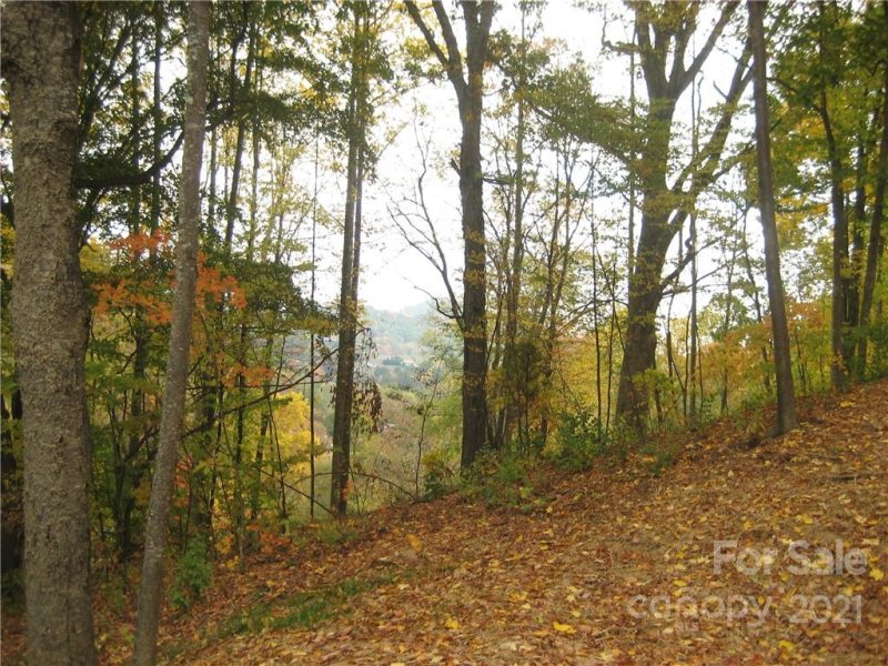 Property image 5 at 21 Sleeping Bear Ridge, Maggie Valley, NC 28751