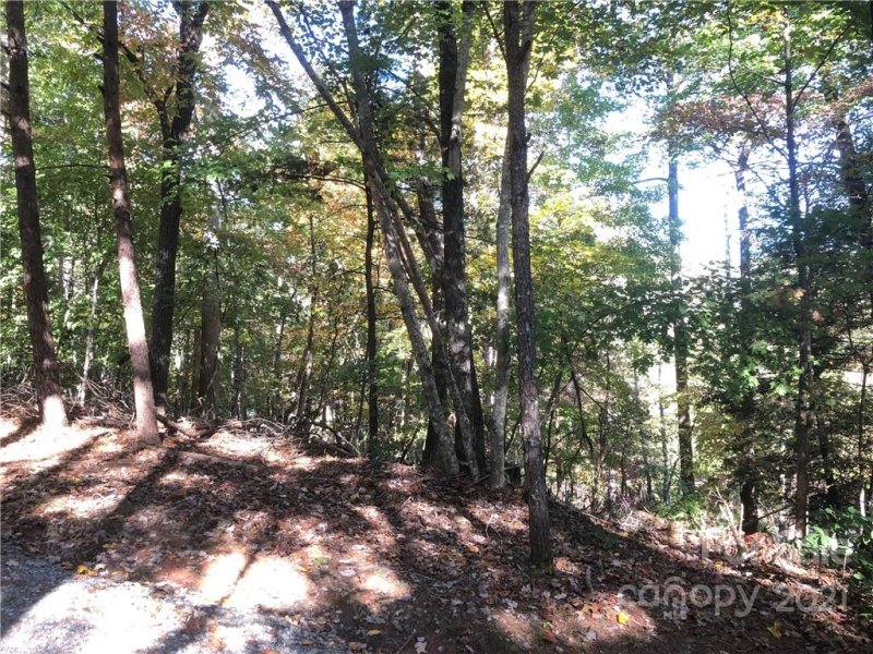 Property image 2 at 119 West Wilderness Road, Lake Lure, NC 28746