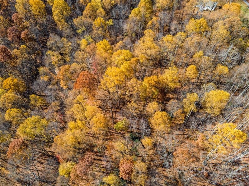 Property image 4 at Lot 12 Upward Way, Waynesville, NC 28785