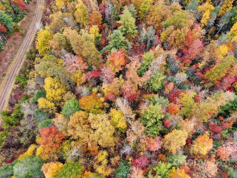 Property image 3 at 0000 Firefly Trail, Marshall, NC 28753