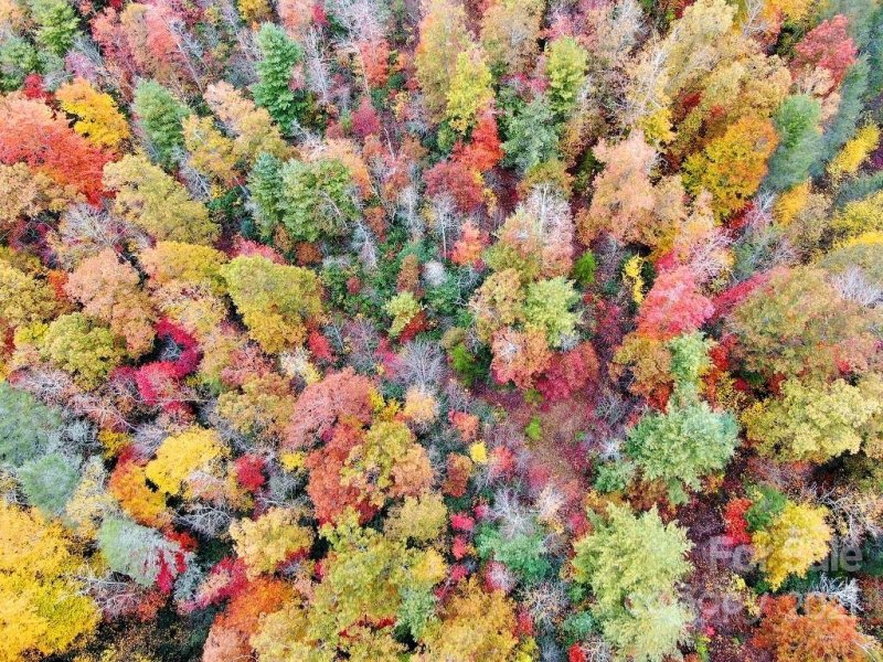 Property image 4 at 0000 Firefly Trail, Marshall, NC 28753