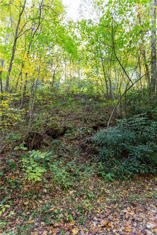 Property image 4 at Lot 13 Black Rock Road, Qualla, NC 28719