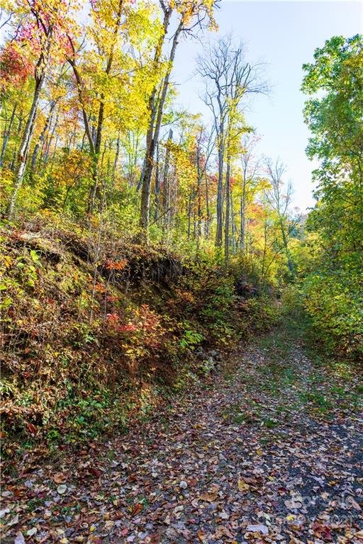 Property image 2 at Lot 17 Black Rock Road, Qualla, NC 28719