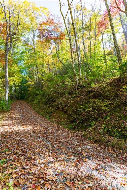 Property image 3 at Lot 17 Black Rock Road, Qualla, NC 28719