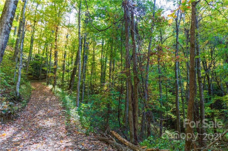 Property image 4 at Lot 17 Black Rock Road, Qualla, NC 28719