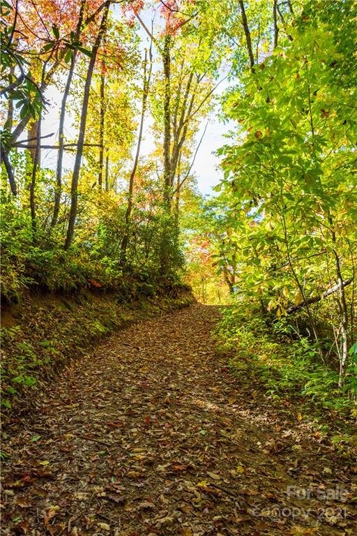 Property image 5 at Lot 17 Black Rock Road, Qualla, NC 28719