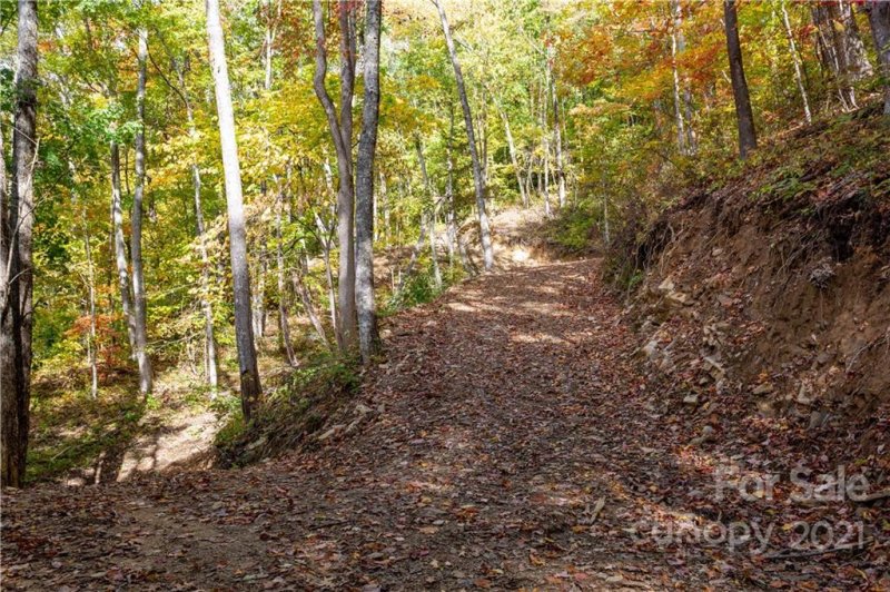Property image 2 at Lot 20 Black Rock Road, Qualla, NC 28719