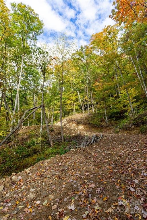 Property image 3 at Lot 20 Black Rock Road, Qualla, NC 28719