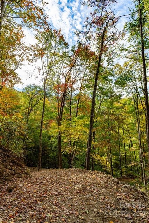 Property image 4 at Lot 20 Black Rock Road, Qualla, NC 28719