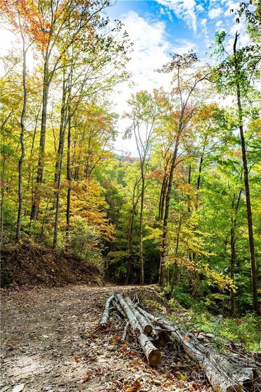 Property image 5 at Lot 20 Black Rock Road, Qualla, NC 28719