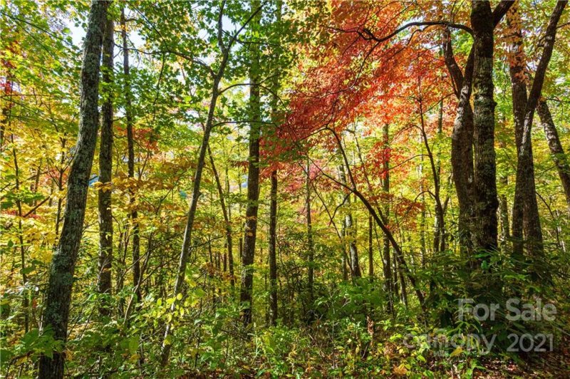 Property image 4 at Lot 6 18 And 19 Black Rock Road, Qualla, NC 28719