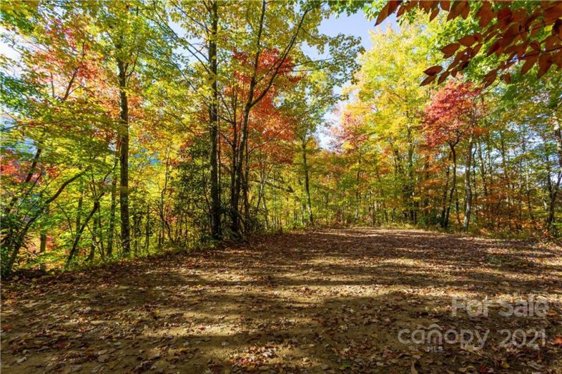 Property image 5 at Lot 6 18 And 19 Black Rock Road, Qualla, NC 28719