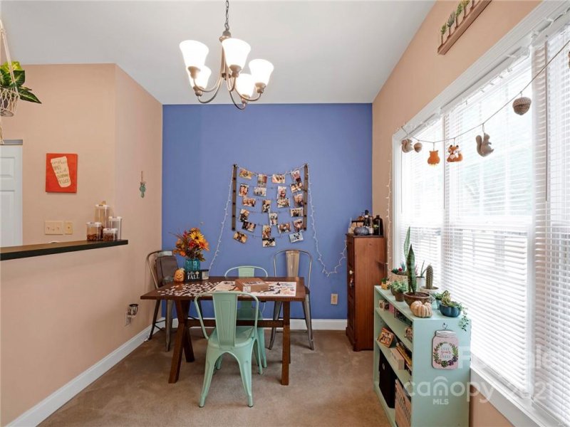 Property image 5 at 917 Shearer Street, Davidson, NC 28036