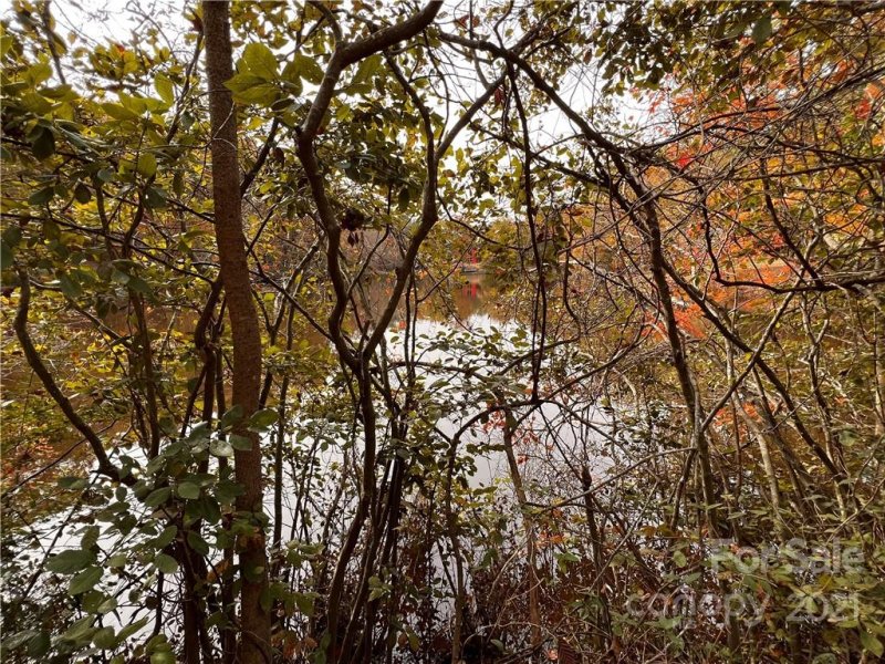 Property image 4 at 0 Lochaven Road, Waxhaw, NC 28173