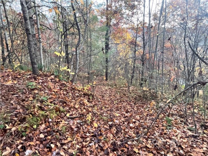 Property image 2 at 11 Brucene Drive, Balsam Grove, NC 28708