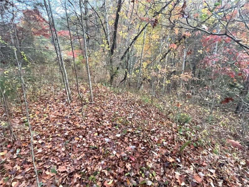 Property image 3 at 11 Brucene Drive, Balsam Grove, NC 28708