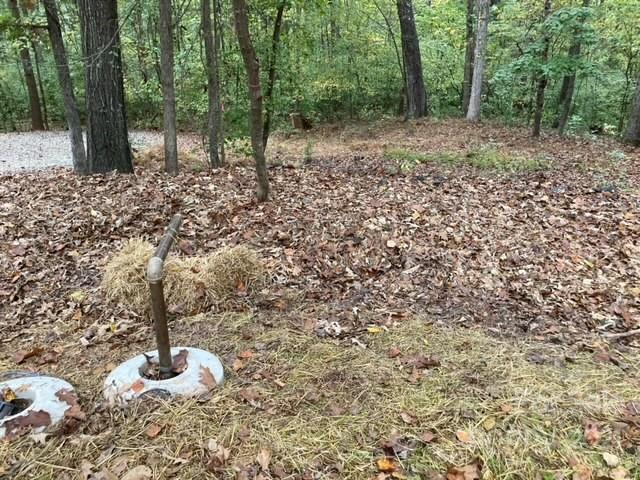 Property image 5 at Lot 113 Stallion Court, Matthews, NC 28104