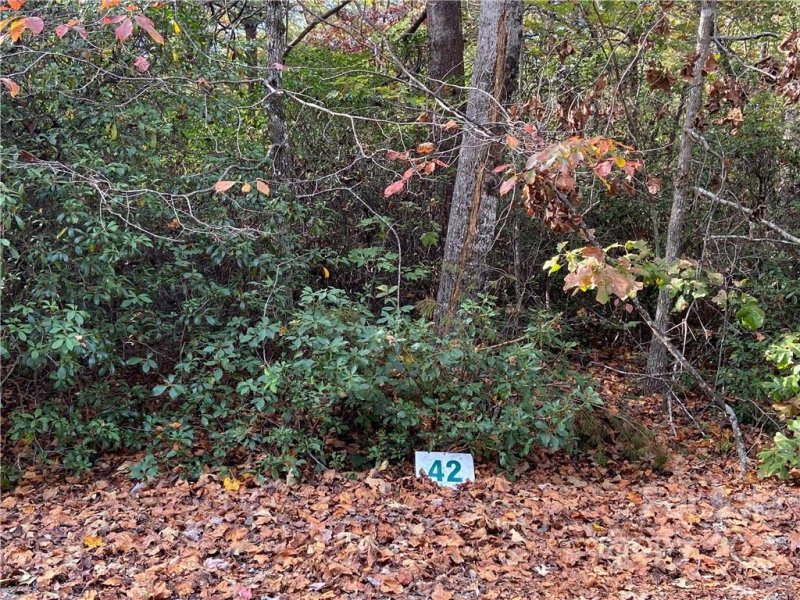 Property image 3 at 0 Silent Forest Way, Lake Lure, NC 28746