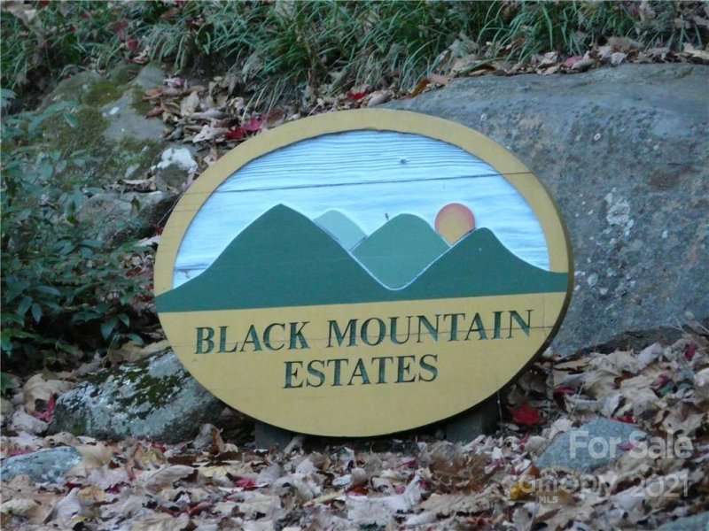 Property image 2 at 9999 Chapel Road, Black Mountain, NC 28711