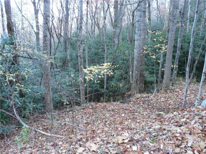 Property image 3 at 9999 Chapel Road, Black Mountain, NC 28711