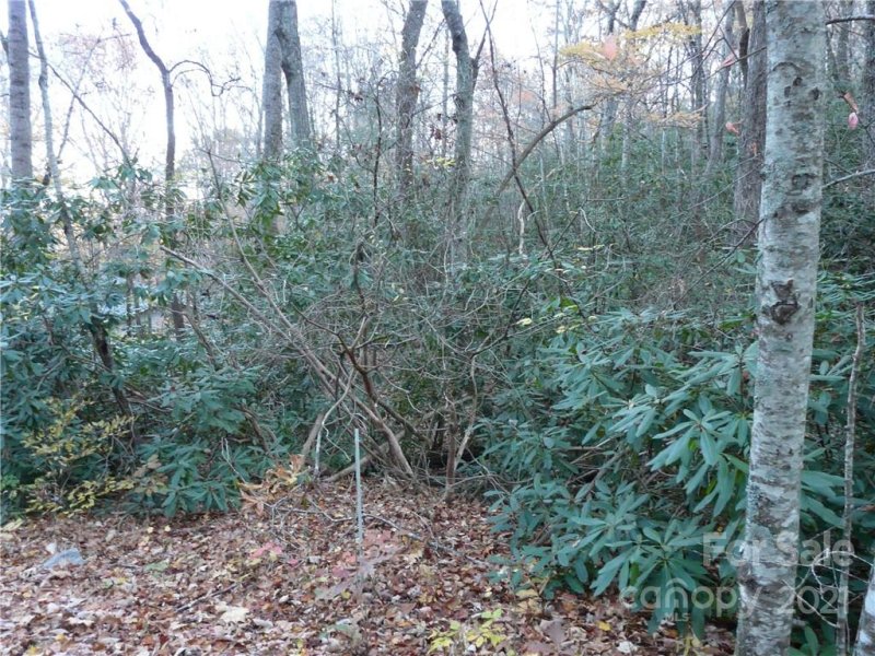 Property image 4 at 9999 Chapel Road, Black Mountain, NC 28711