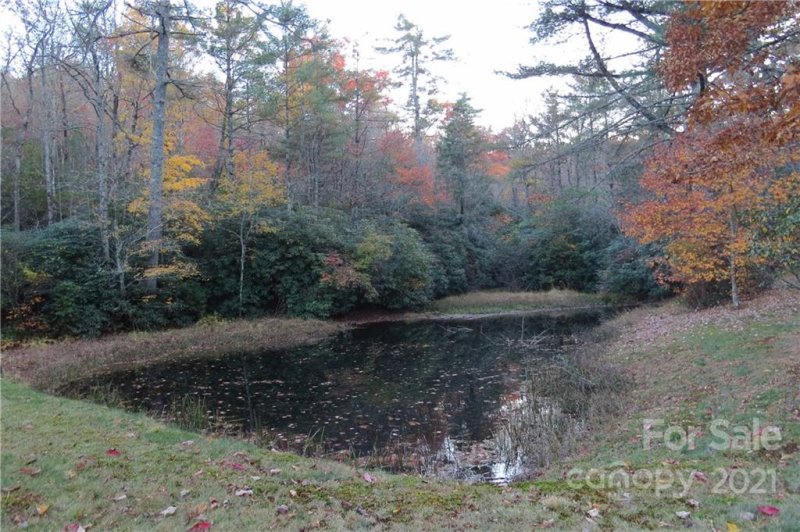 Property image 3 at L12 Marshall Lake Road, Cedar Mountain, NC 28718