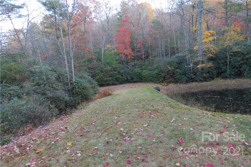Property image 4 at L12 Marshall Lake Road, Cedar Mountain, NC 28718