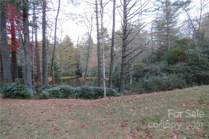 Property image 5 at L12 Marshall Lake Road, Cedar Mountain, NC 28718
