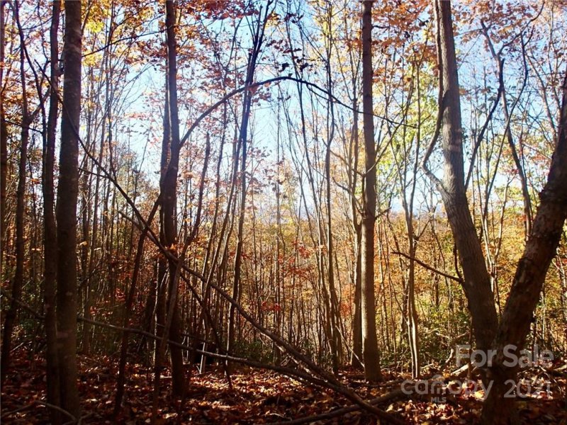 Property image 2 at Lot 55 N Haven Heights Drive, Marion, NC 28752