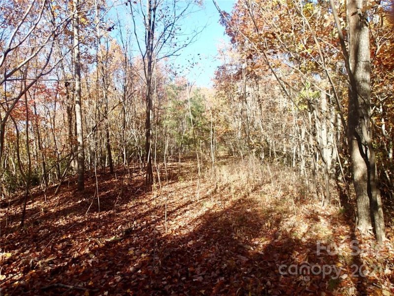 Property image 3 at Lot 55 N Haven Heights Drive, Marion, NC 28752