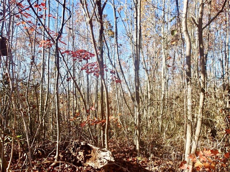 Property image 4 at Lot 55 N Haven Heights Drive, Marion, NC 28752