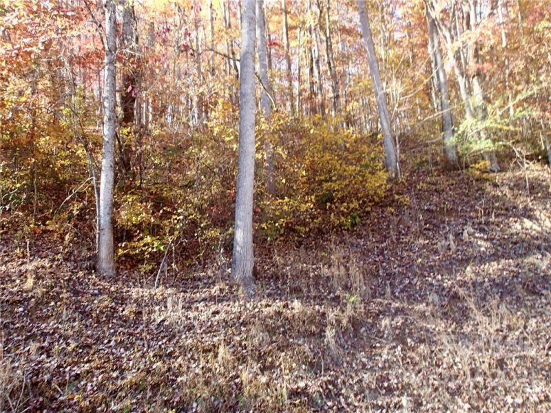 Property image 5 at Lot 55 N Haven Heights Drive, Marion, NC 28752