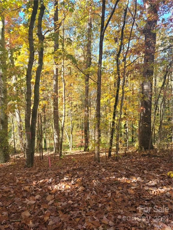 Property image 2 at 0 Quail Trail, Lincolnton, NC 28092