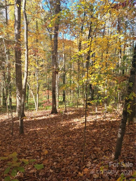 Property image 3 at 0 Quail Trail, Lincolnton, NC 28092