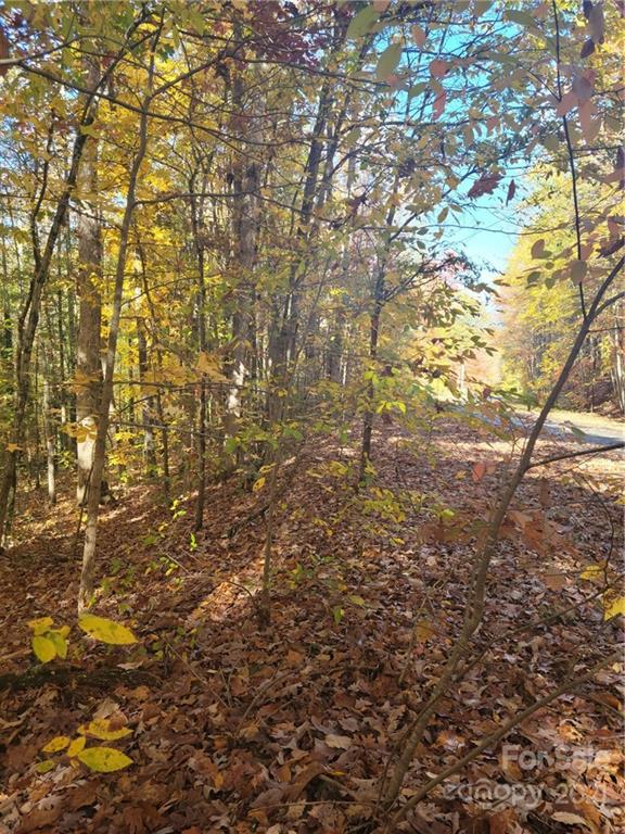 Property image 4 at 0 Quail Trail, Lincolnton, NC 28092