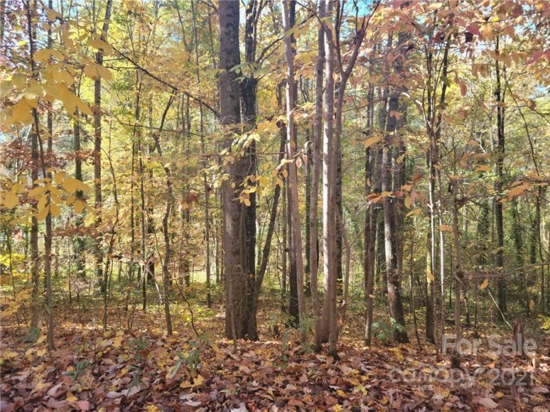 Property image 5 at 0 Quail Trail, Lincolnton, NC 28092