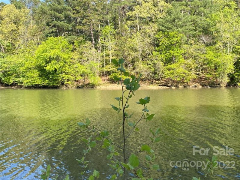 Property image 3 at 2011 Island View Lane, Connelly Springs, NC 28612