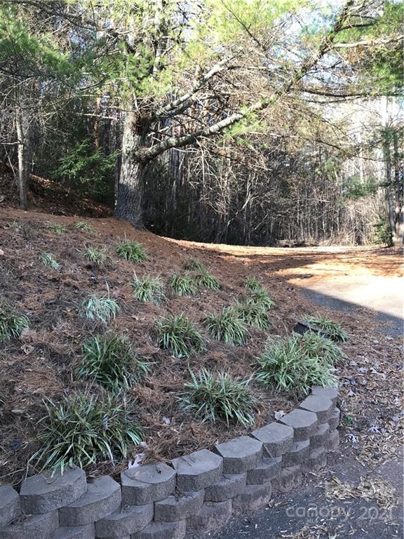 Property image 4 at 8308 Kinglet Road, Connelly Springs, NC 28612