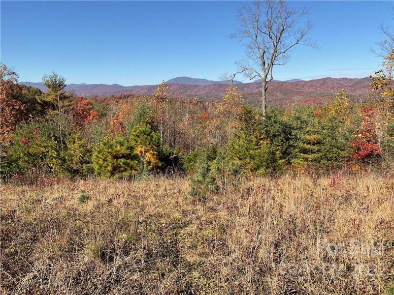 Property image 2 at Lot 60 Peppervine Circle, Brevard, NC 28712