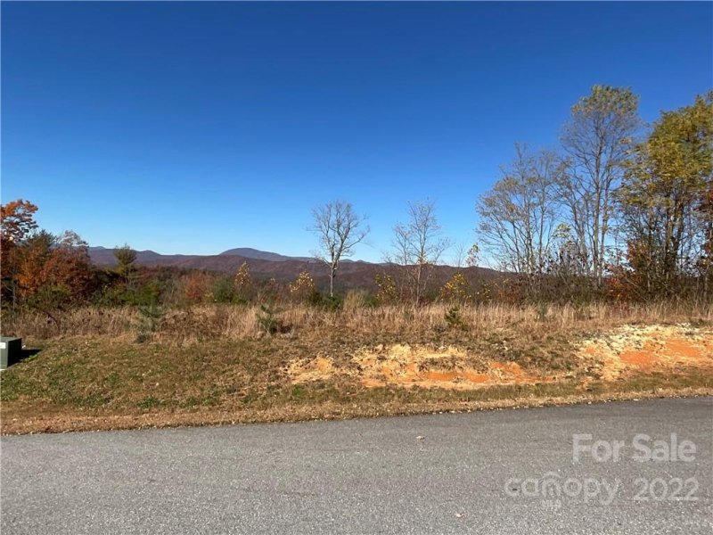 Property image 3 at Lot 60 Peppervine Circle, Brevard, NC 28712