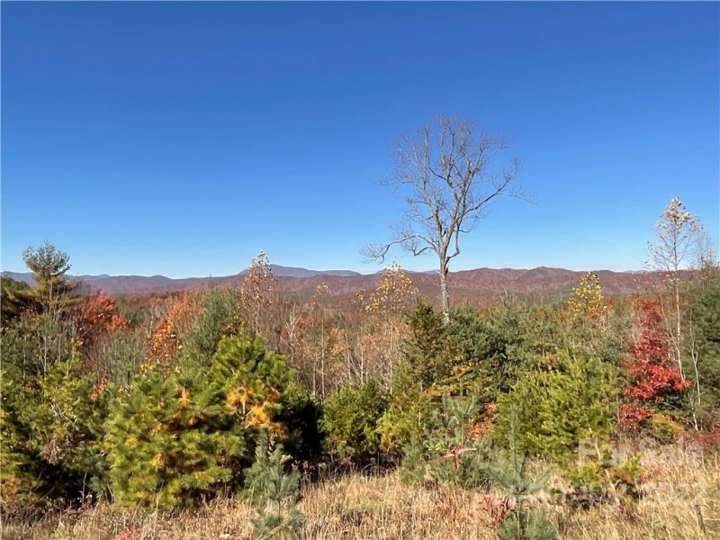 Property image 4 at Lot 60 Peppervine Circle, Brevard, NC 28712