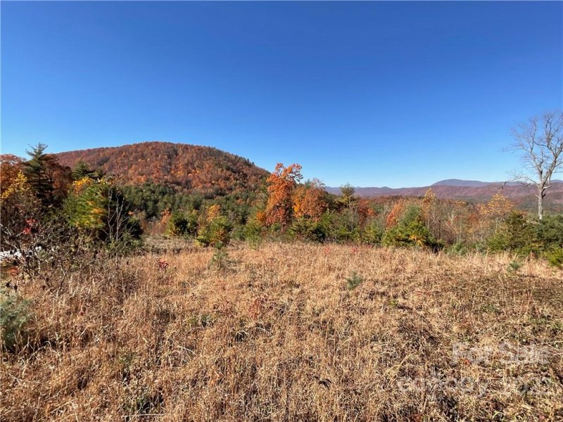 Property image 5 at Lot 60 Peppervine Circle, Brevard, NC 28712