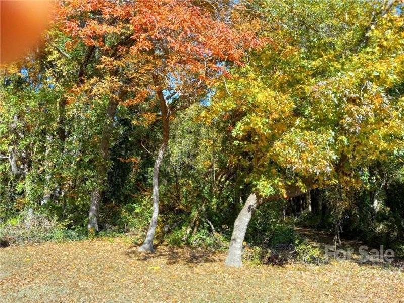 Property image 2 at 00 Madison Street, Gastonia, NC 28052