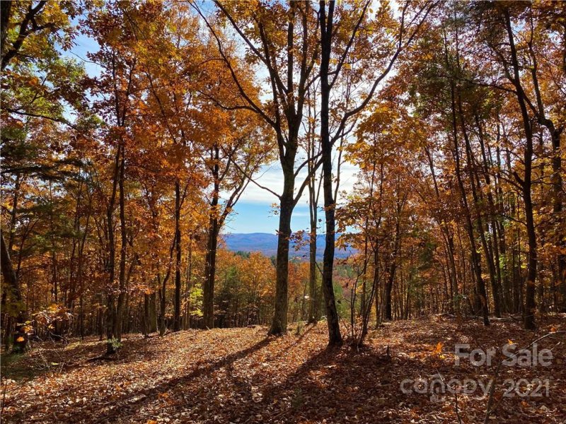 Property image 4 at 3980 Mountain Vista Drive, Morganton, NC 28655