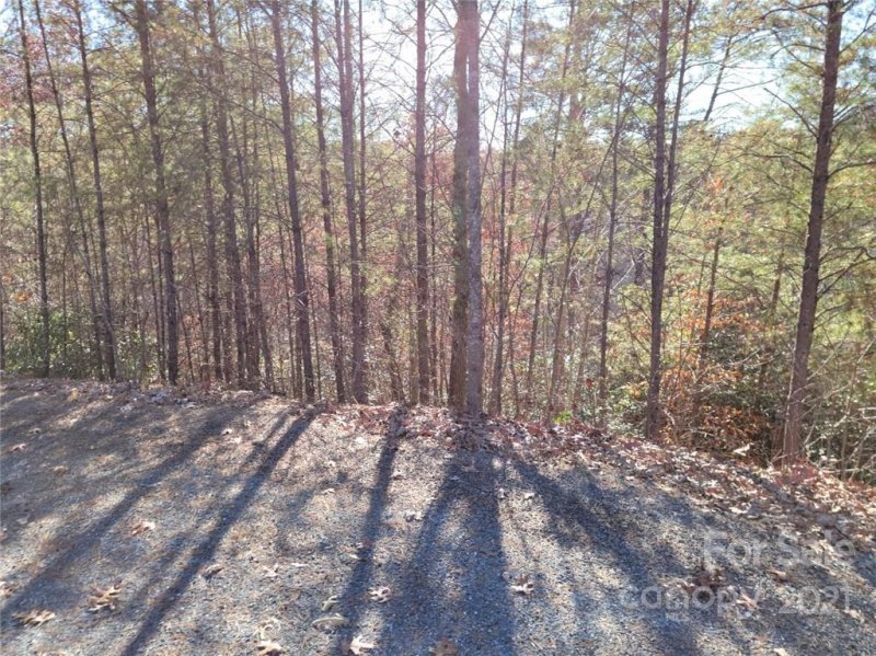 Property image 2 at 0 Easy Street, Lake Lure, NC 28746